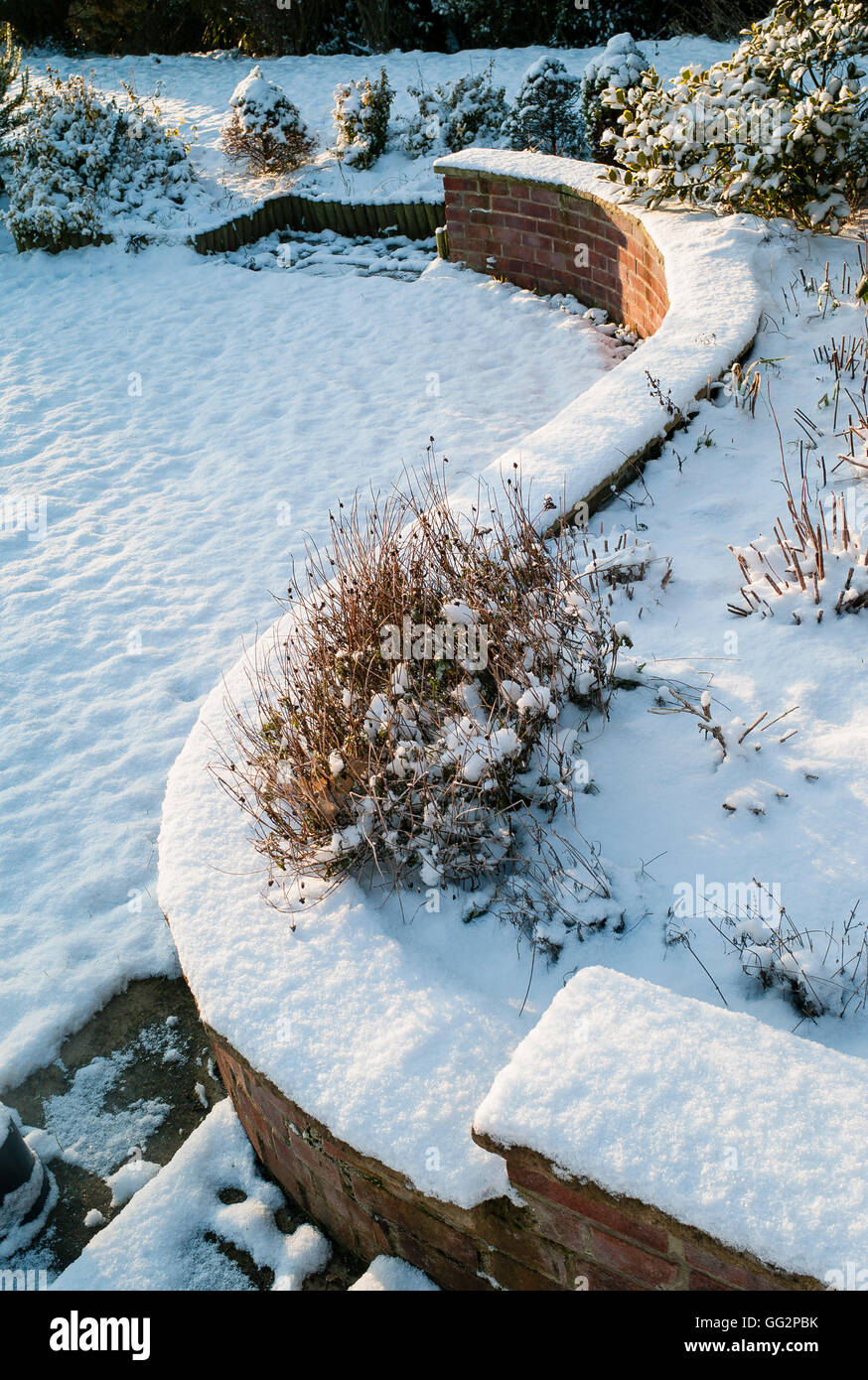 A sinuous retaining snow-covered wall in winter in an English garden Stock Photo
