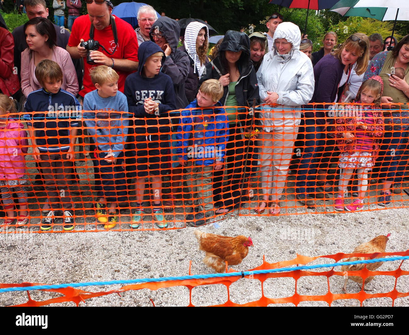 Competitors watch entrants 'speeding' down the track at the World Championship Hen Racing, held annually in Bonsall, Derbyshire Stock Photo