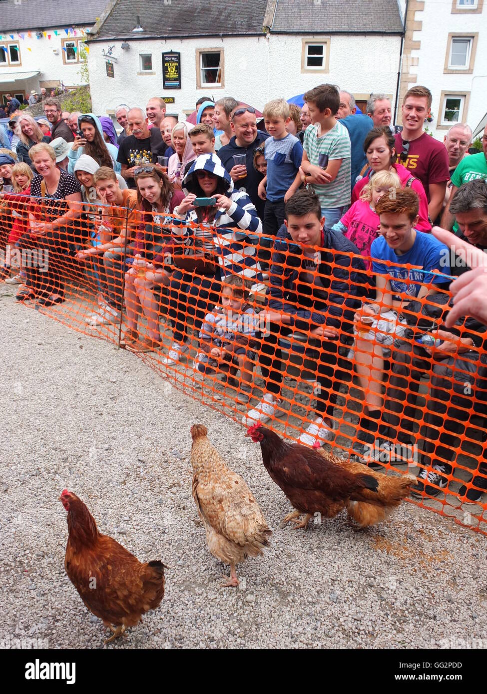 Bonsall World Championship Hen Racing. Spectators watch as hens are released onto the track at the annual event. Stock Photo