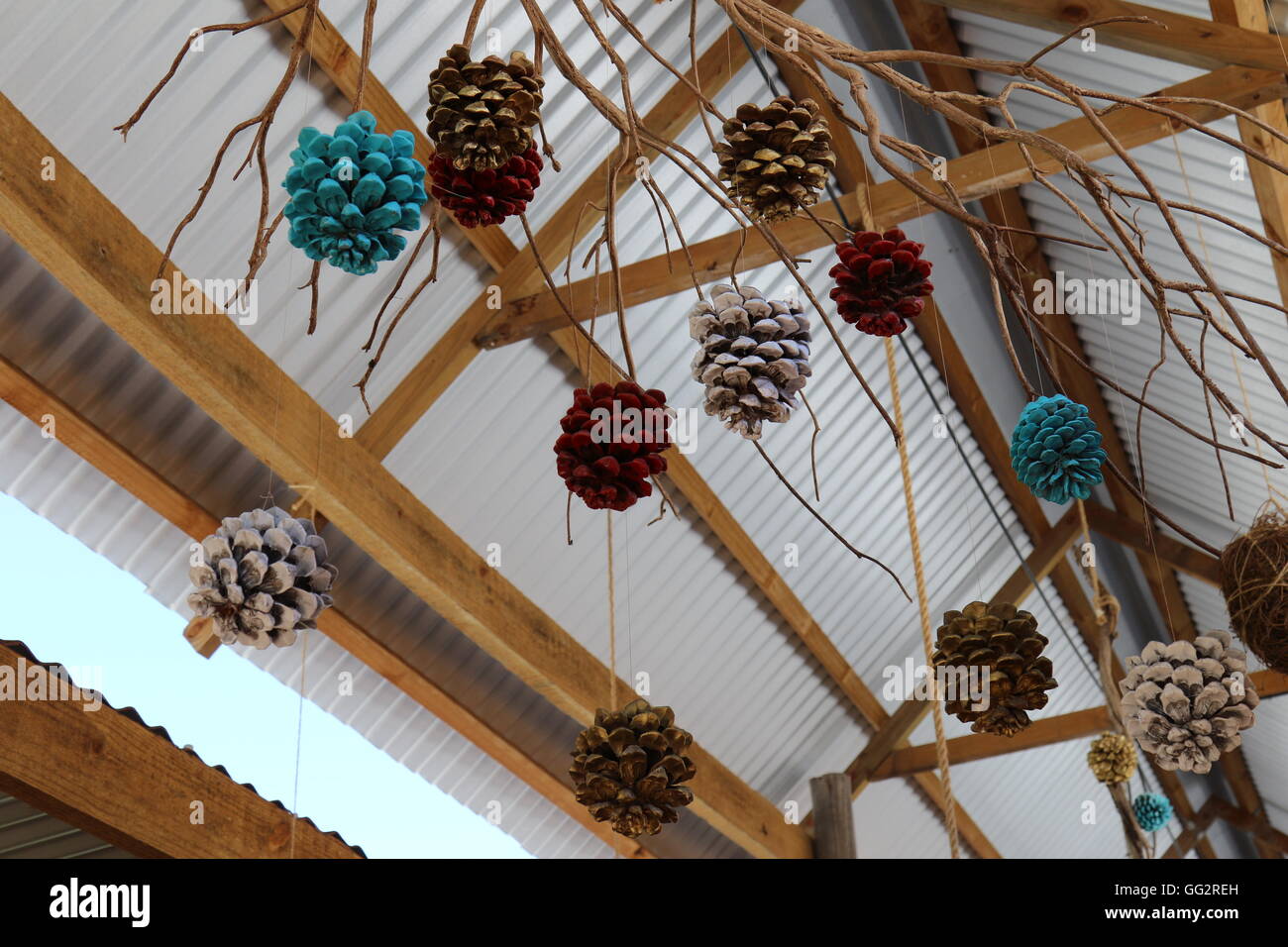 Colorful fir cones as decoration at the wine sales of Peter Falke Wines, Stellenbosch, South Africa Stock Photo