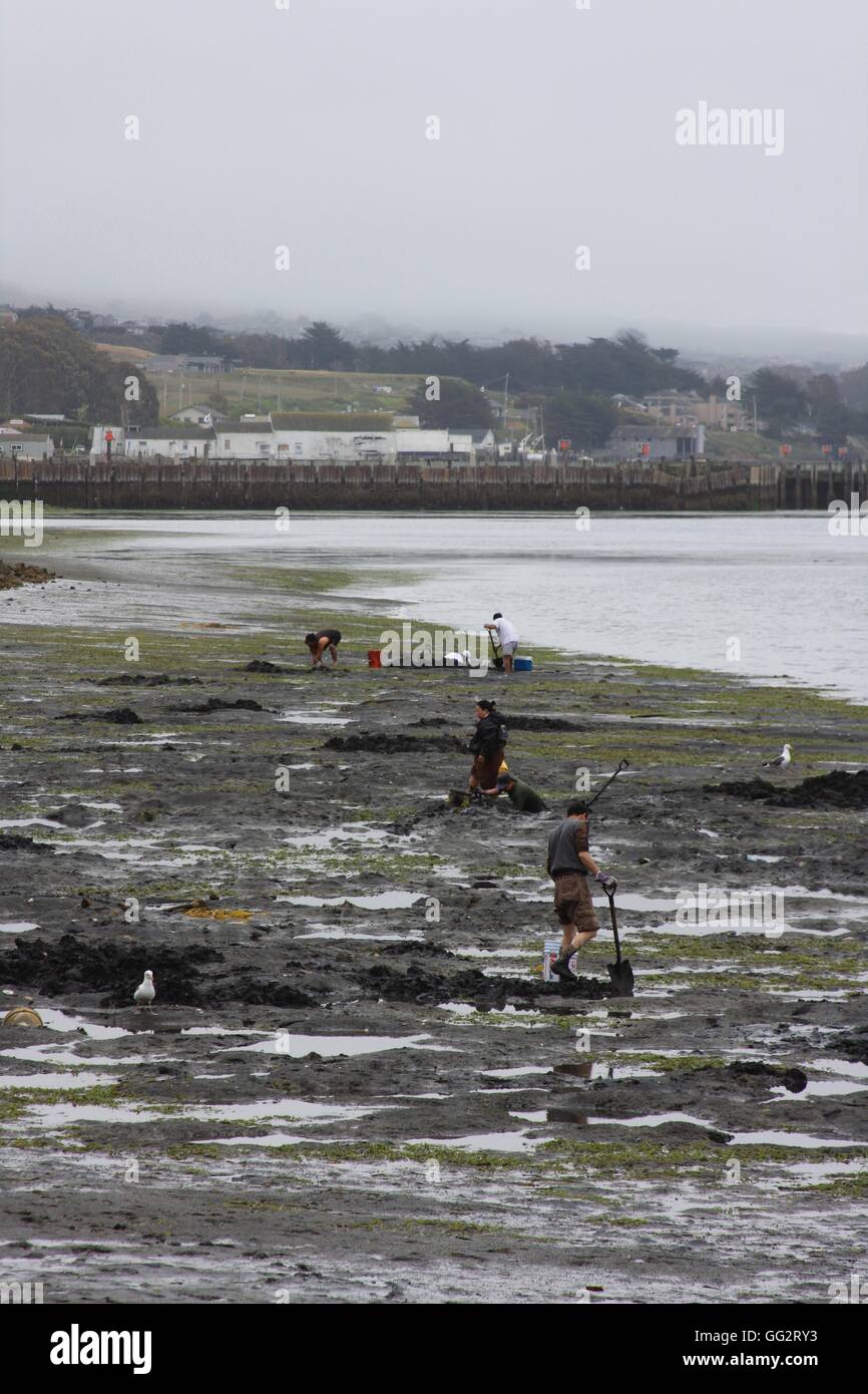 Scene of Bodega Bay, northern California, USA Stock Photo Alamy