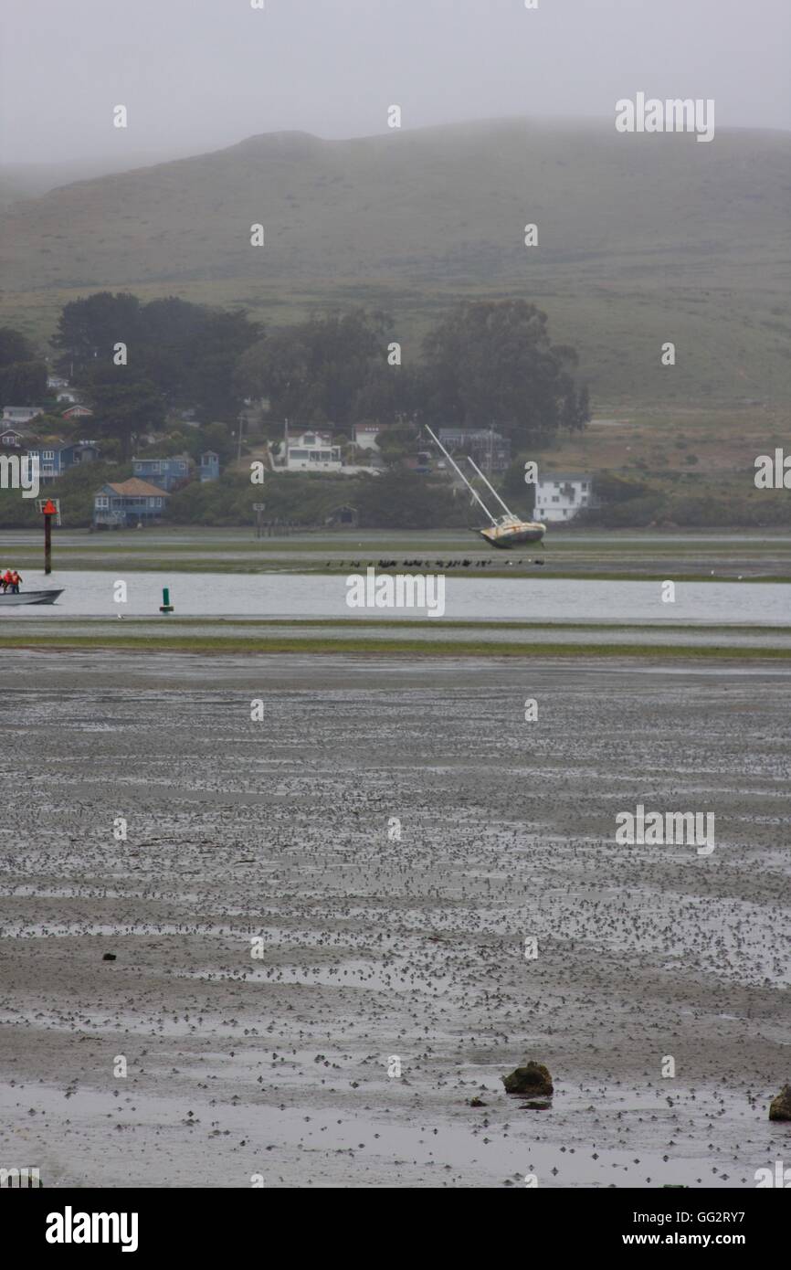 Scene of Bodega Bay, northern California, USA Stock Photo Alamy