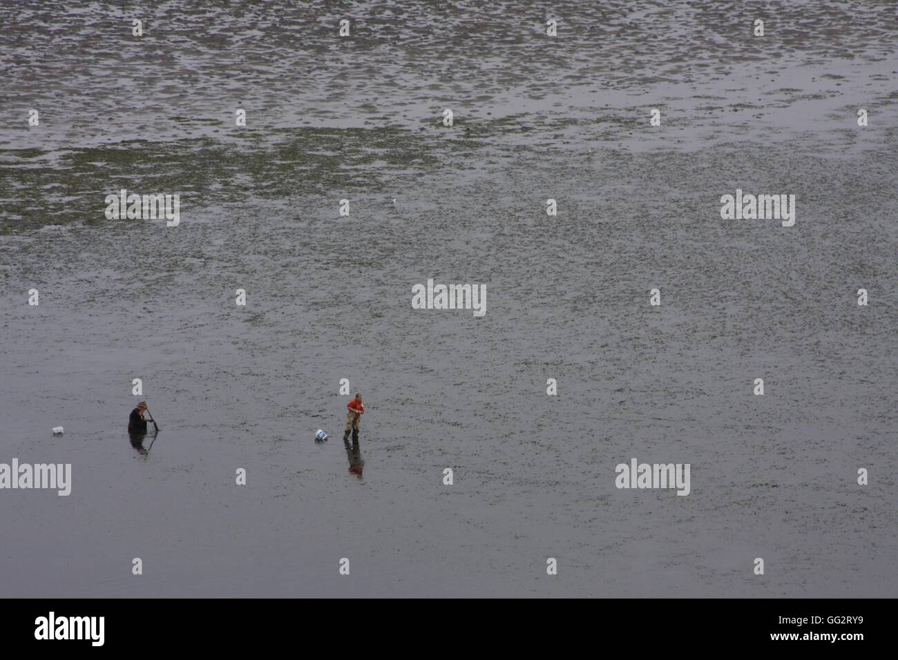 Crabbing / In Bodega Bay, Northern California Stock Photo Alamy