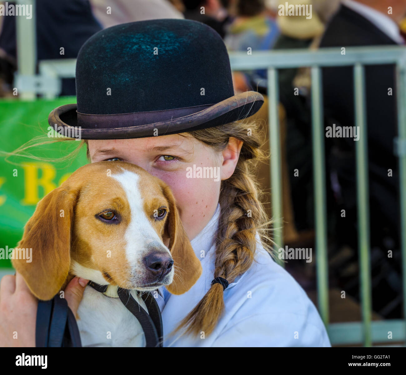 The Peterborough Festival of Hunting Beagle with kennel maid Stock