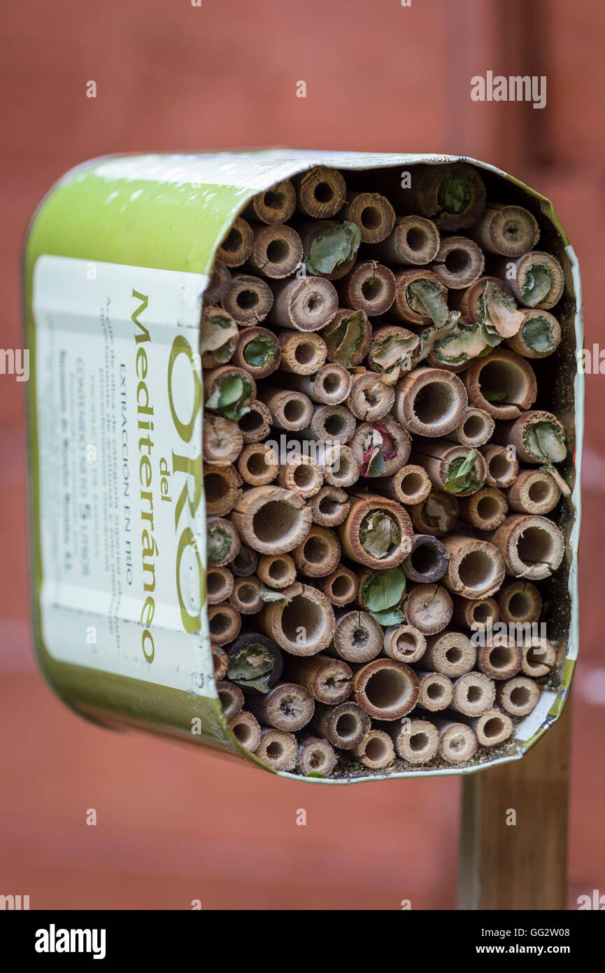 A home for solitary bees made out of bamboo tubes and a recycled olive oil can. Stock Photo