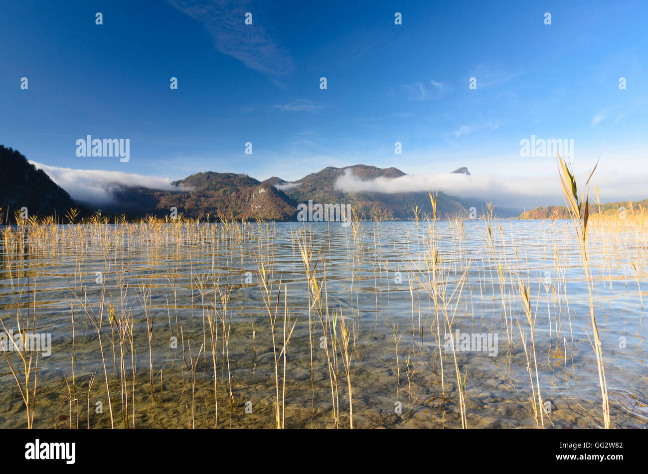 Mondsee: lake Mondsee, view to Drachenwand, Austria, Oberösterreich, Upper Austria, Salzkammergut Stock Photo