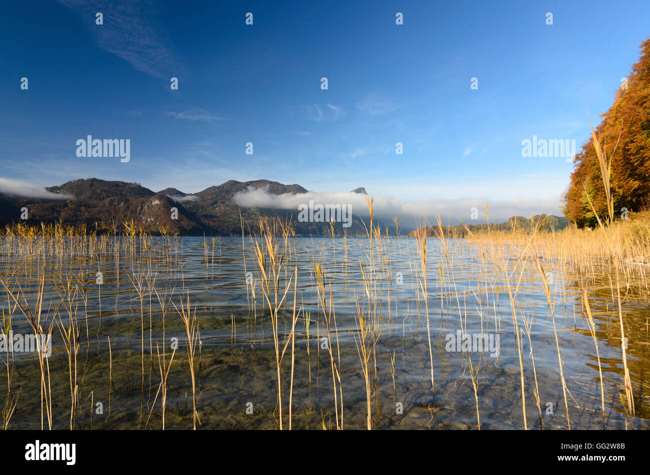 Mondsee: lake Mondsee, view to Drachenwand, Austria, Oberösterreich, Upper Austria, Salzkammergut Stock Photo