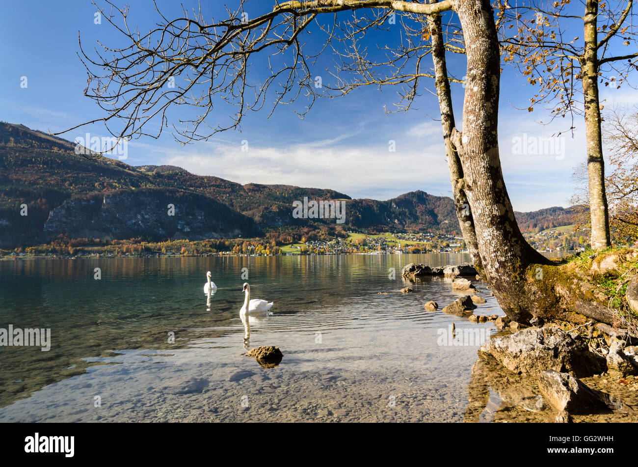 Sankt Gilgen: lake Wolfgangsee, view to St. Gilgen, Austria, Salzburg, Salzkammergut Stock Photo