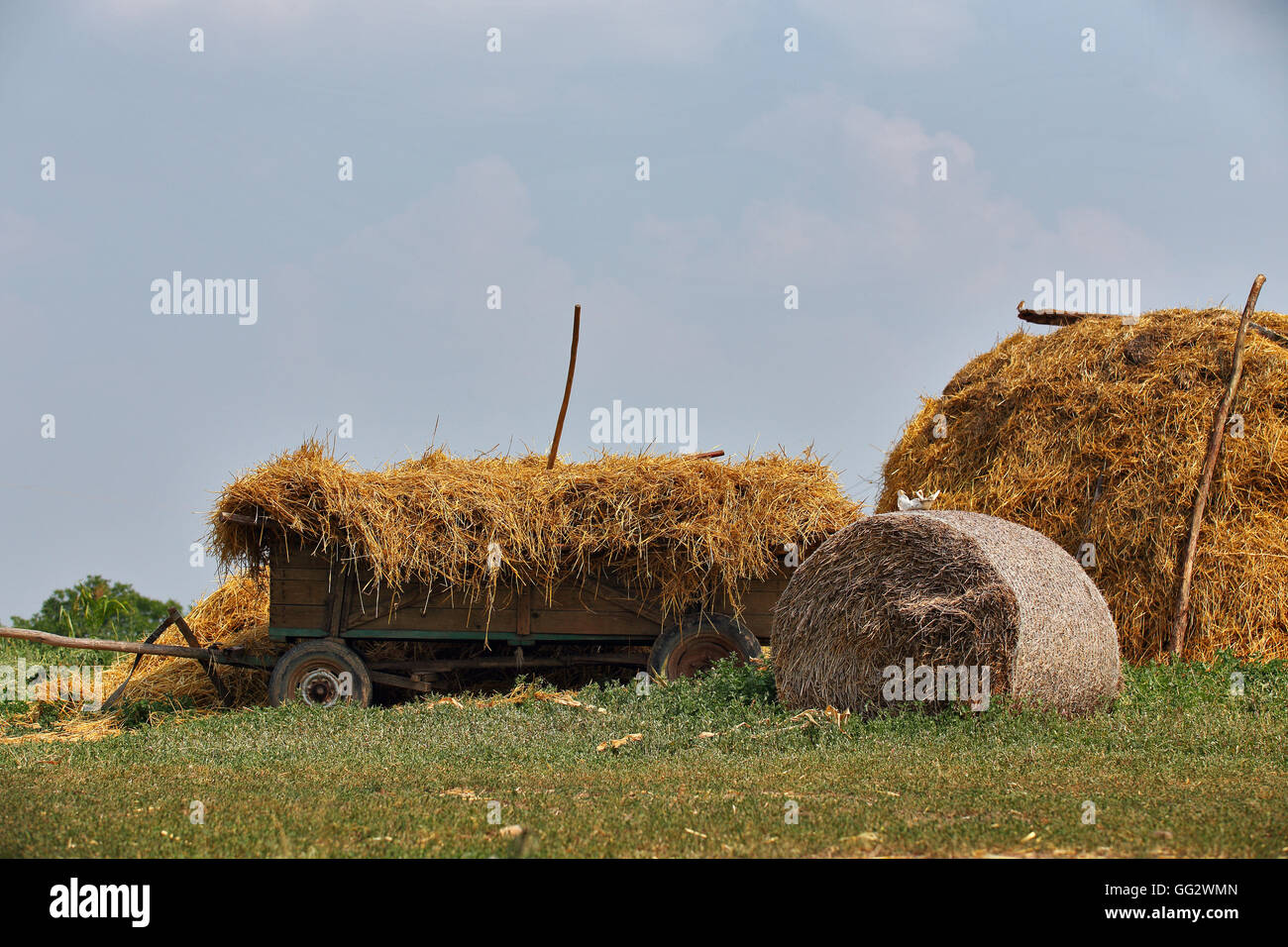 rural scene stack hay and cart in summer countryside Stock Photo