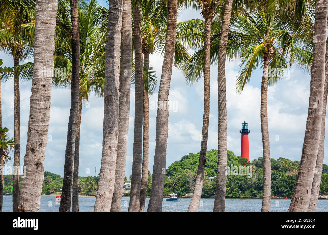 Jupiter Lighthouse in northern Palm Beach County, Florida seen through a stand of palm trees alongside the Jupiter inlet. Stock Photo