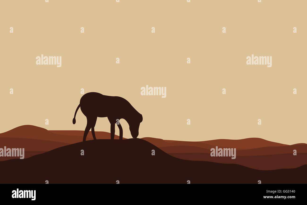 Silhouettes of zebra in hills Stock Vector Image & Art - Alamy