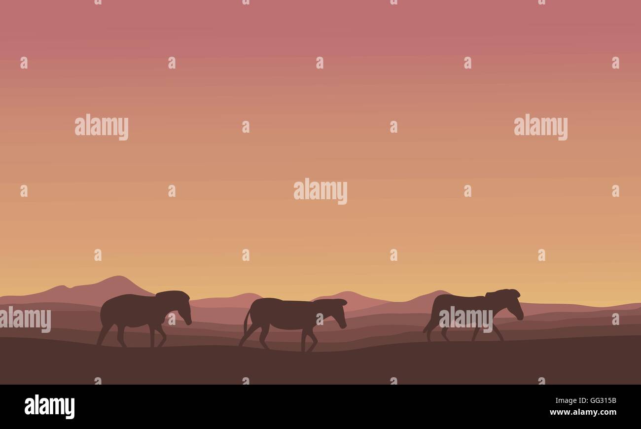 Silhouette of Zebra lined in desert Stock Vector Image & Art - Alamy
