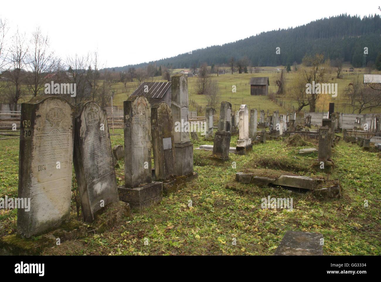 5518. Ancient Jewish cemetery in Compolung Moldavese, Romania Stock Photo