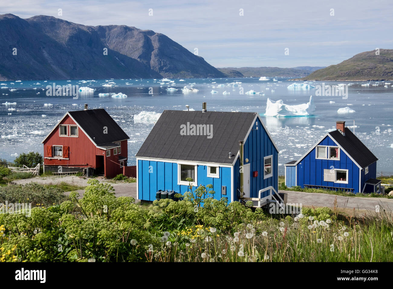 Typical colourful Greenlandic houses overlooking Tunulliarfik fjord with icebergs floating off Greenland coast in summer. Narsaq south Greenland Stock Photo