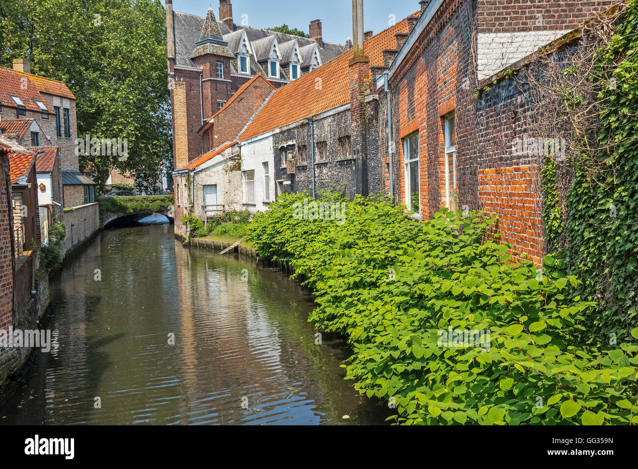 A Quite Canal Backwaterl Bruges Belgium Stock Photo