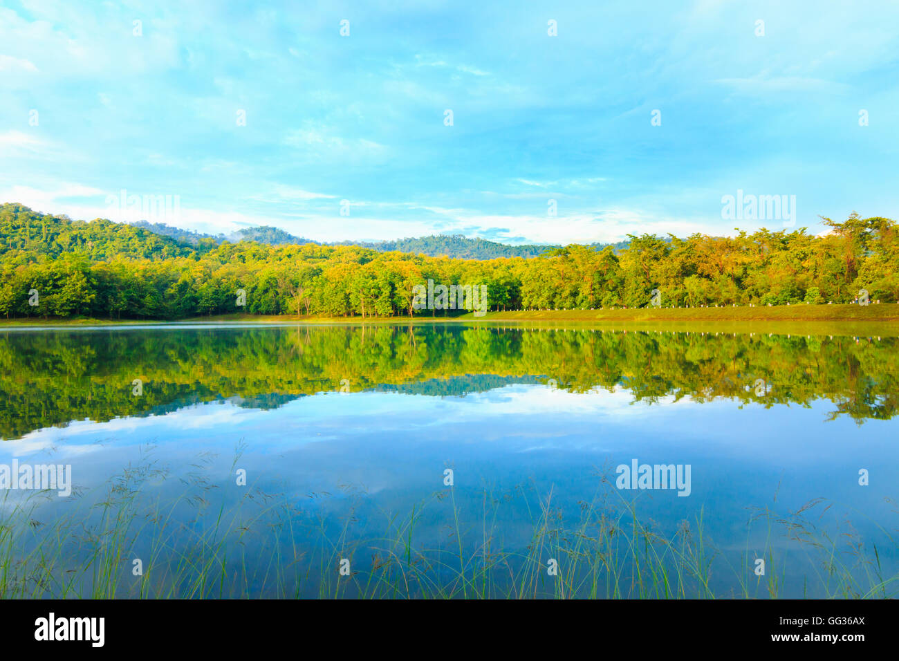 reflection of tree and mountain in a lake Stock Photo - Alamy