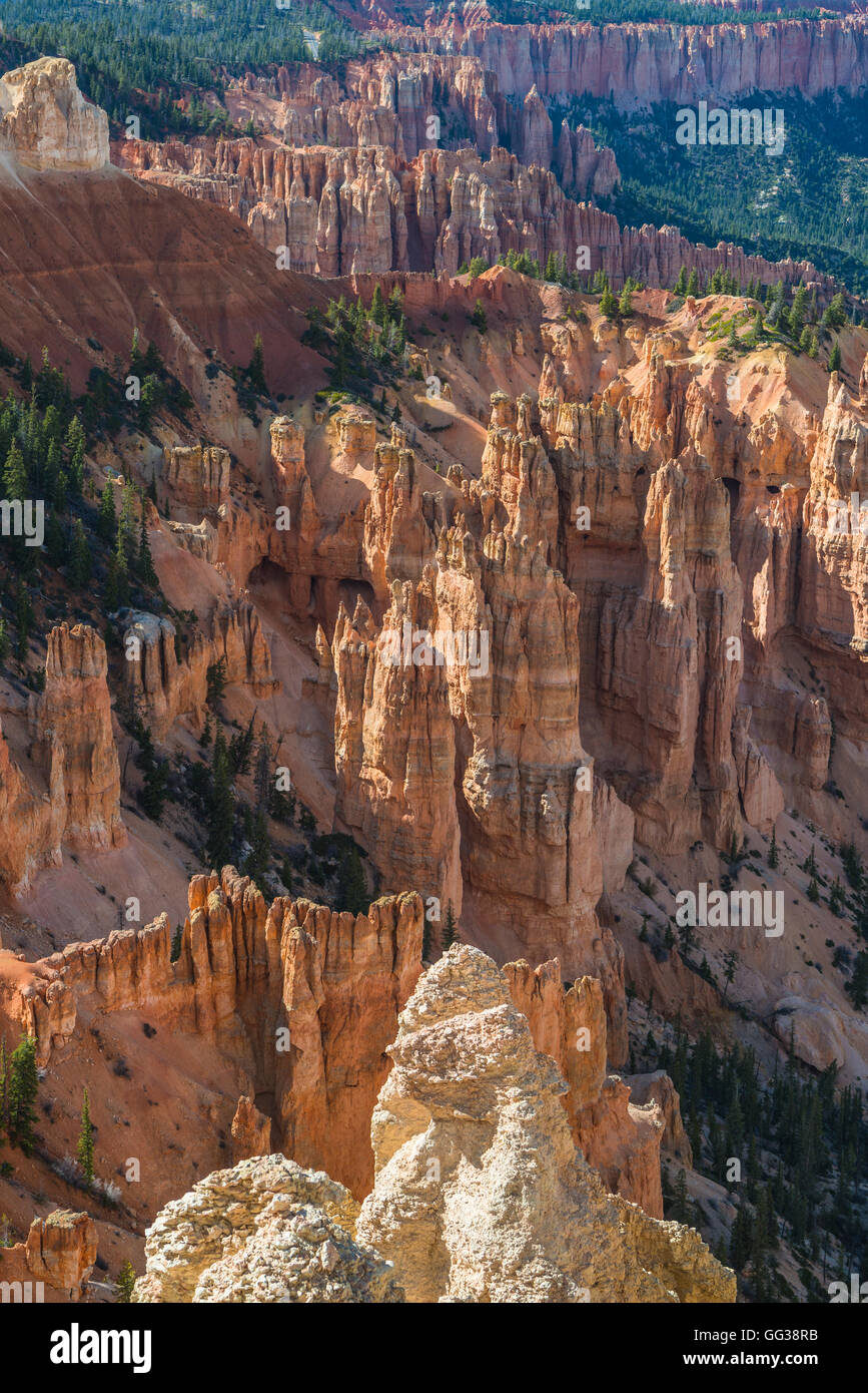 Amphitheater, Bryce Canyon National Park, Utah, USA Stock Photo - Alamy