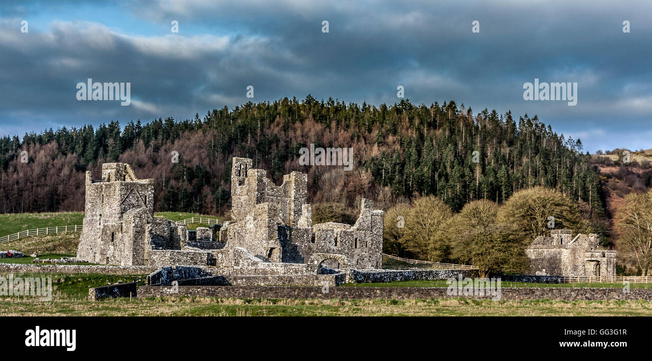 View of Fore Abbey Co.Westmeath Ireland Stock Photo