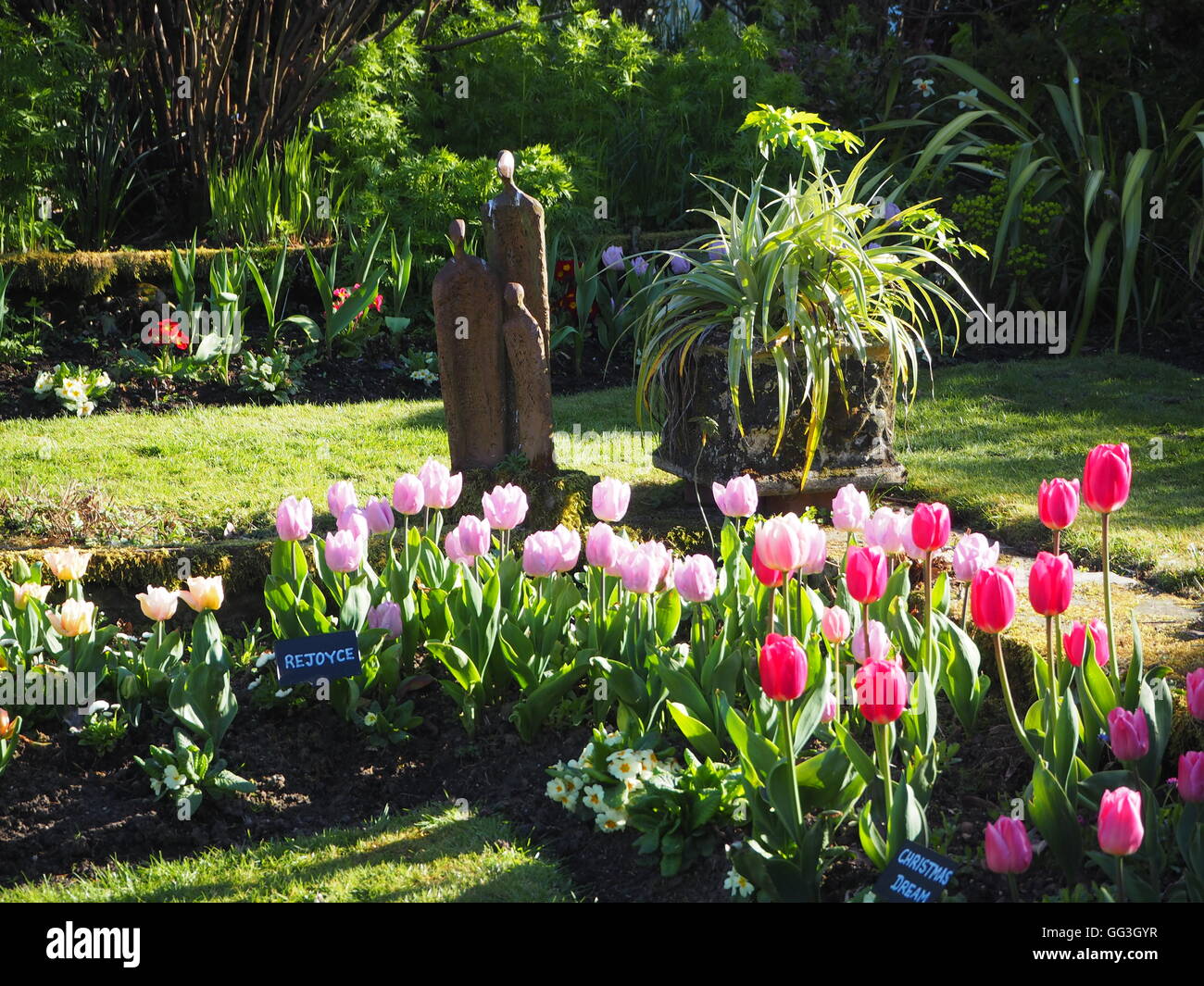 Sunny corner at Chenies Manor sunken garden in spring; statue, cordyline and backlit pink tulip petals, long shadows on path and grass. Stock Photo
