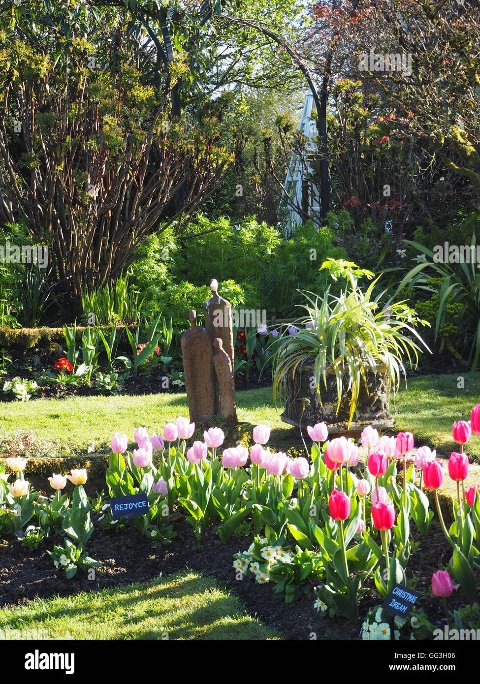 Sunny corner at Chenies Manor sunken garden in May; statue and backlit pink tulip petals, long shadows on path and grass. Stock Photo