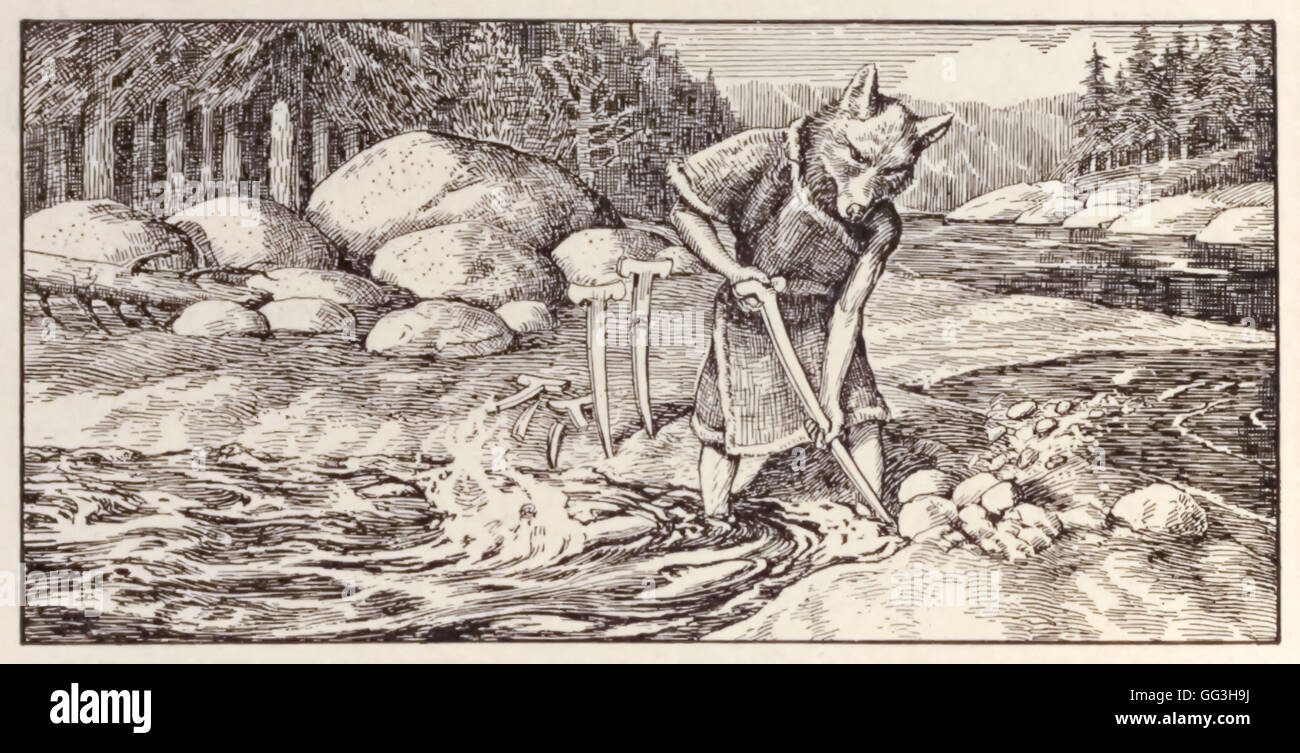 “Letting out the salmon.” Coyote breaks the salmon out of their pen, from ‘Adventures of the Coyote’ an anthropomorphic character common to the folklore of many indigenous North American peoples. Illustration of a Salish Indian traditional story by Frederick N. Wilson (1876-1961). Stock Photo