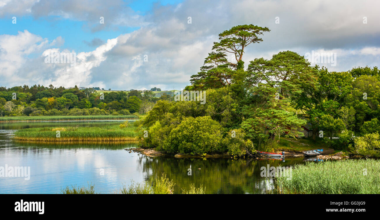 Idyllic view of Ross Castle lake, Killarney, Ireland Stock Photo