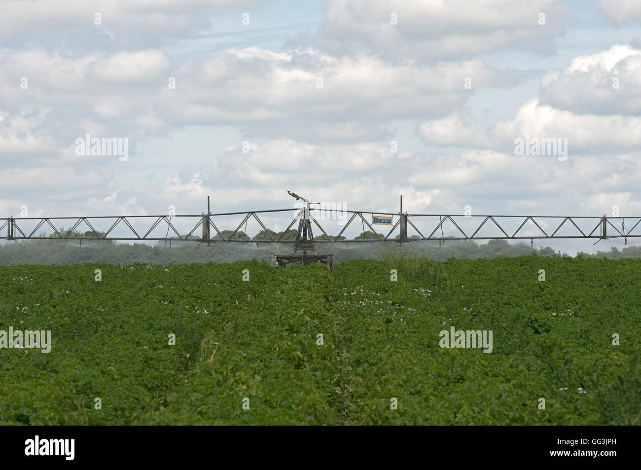 Briggs selfpropelled water irrigation system Stock Photo Alamy