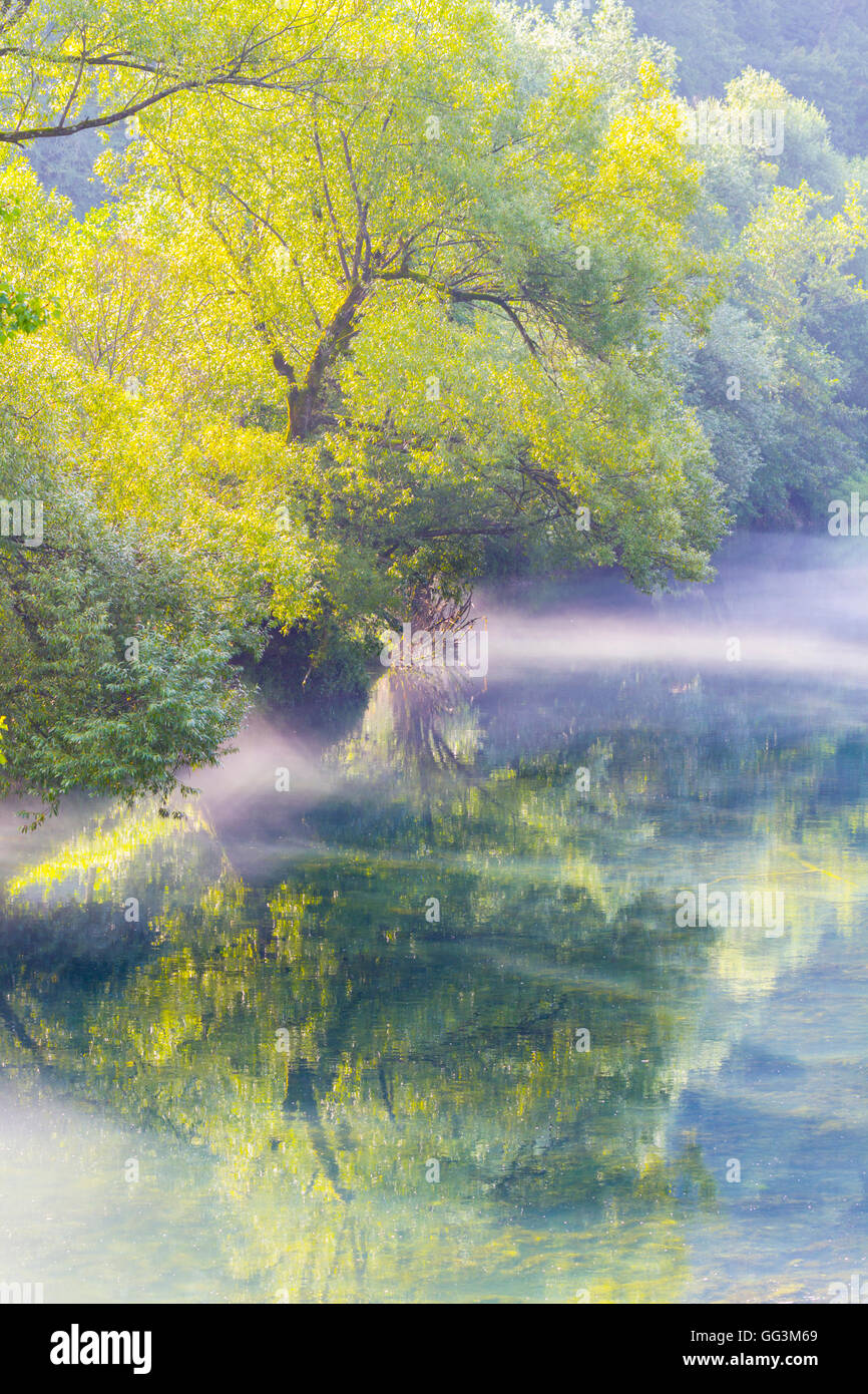 Morning misty fog above water surface river Dobra in Croatia fantastic views view Stock Photo