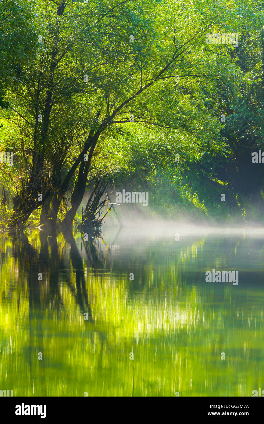 Morning misty fog above water surface river Dobra in Croatia peaceful quiet calm calmness Stock Photo