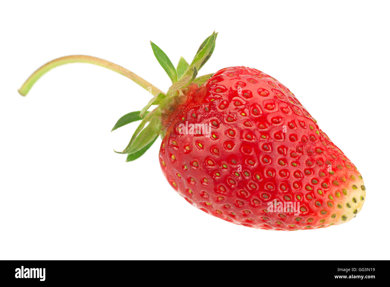 Strawberry fruit closeup isolated on white background Stock Photo - Alamy