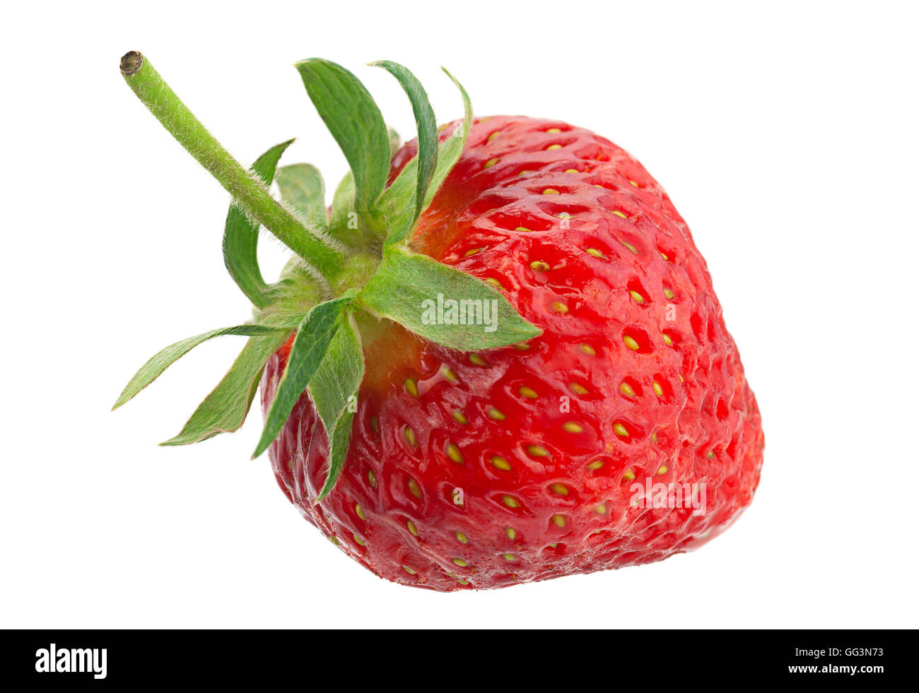 Strawberry fruit closeup isolated on white background Stock Photo - Alamy