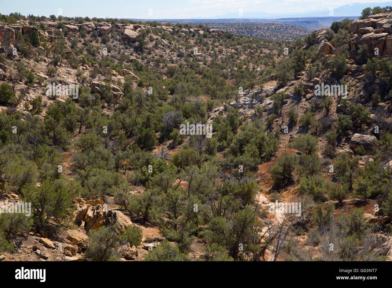 Hackberry Canyon, Hovenweep National Monument-Horseshoe Unit, Colorado ...