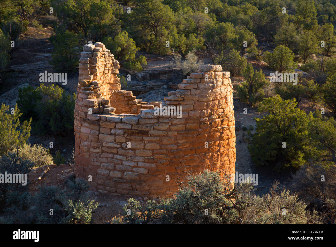 Cutthroat Castle ruins, Hovenweep National Monument-Cutthroat Castle Unit, Colorado Stock Photo