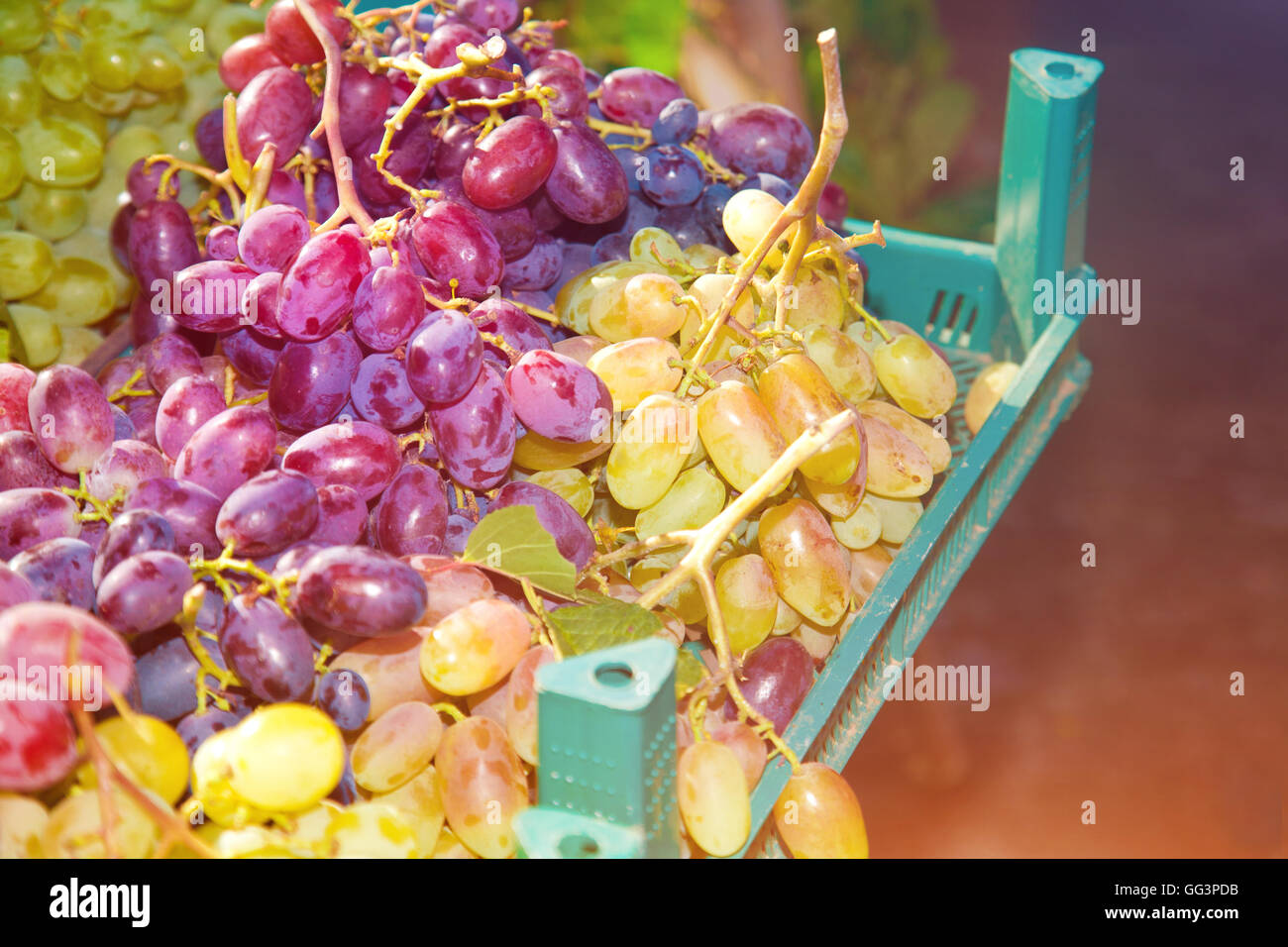 Bunches of ripe grapes in the box on the market Stock Photo - Alamy