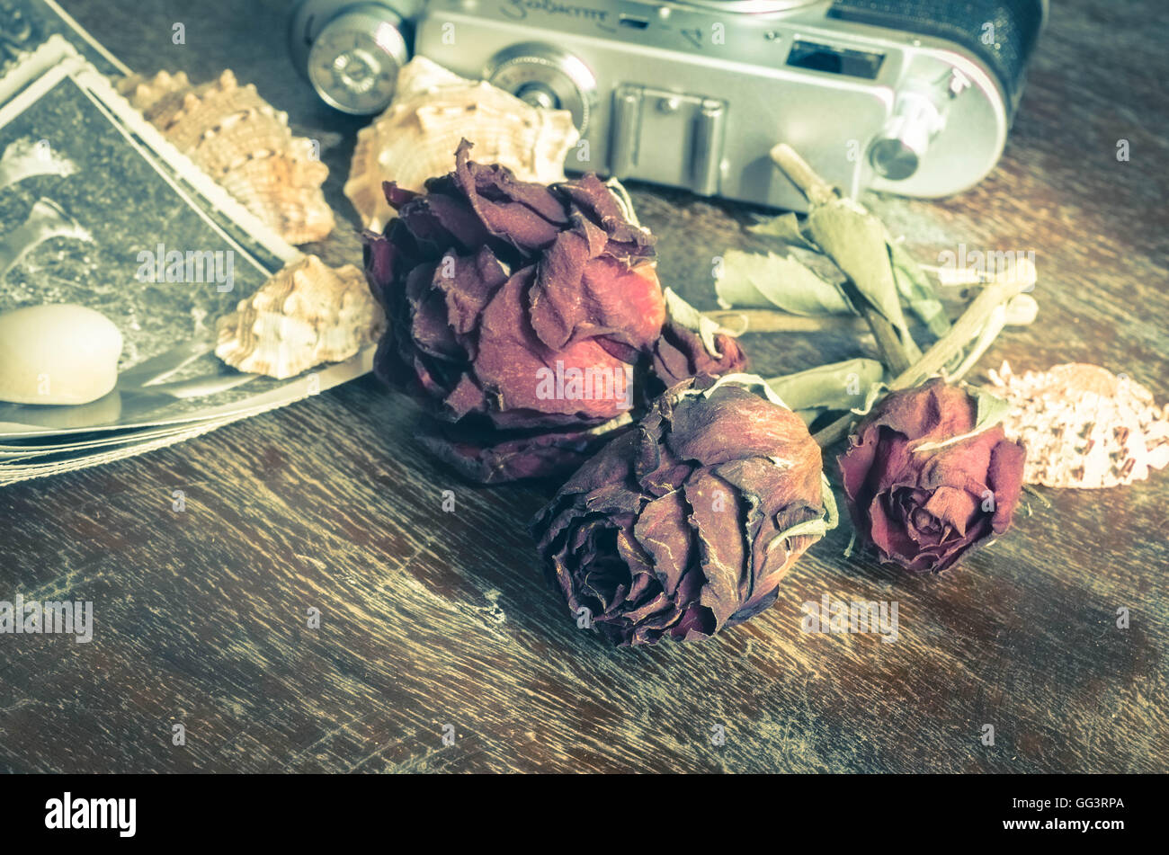 vintage still life with old photos and dried roses Stock Photo - Alamy