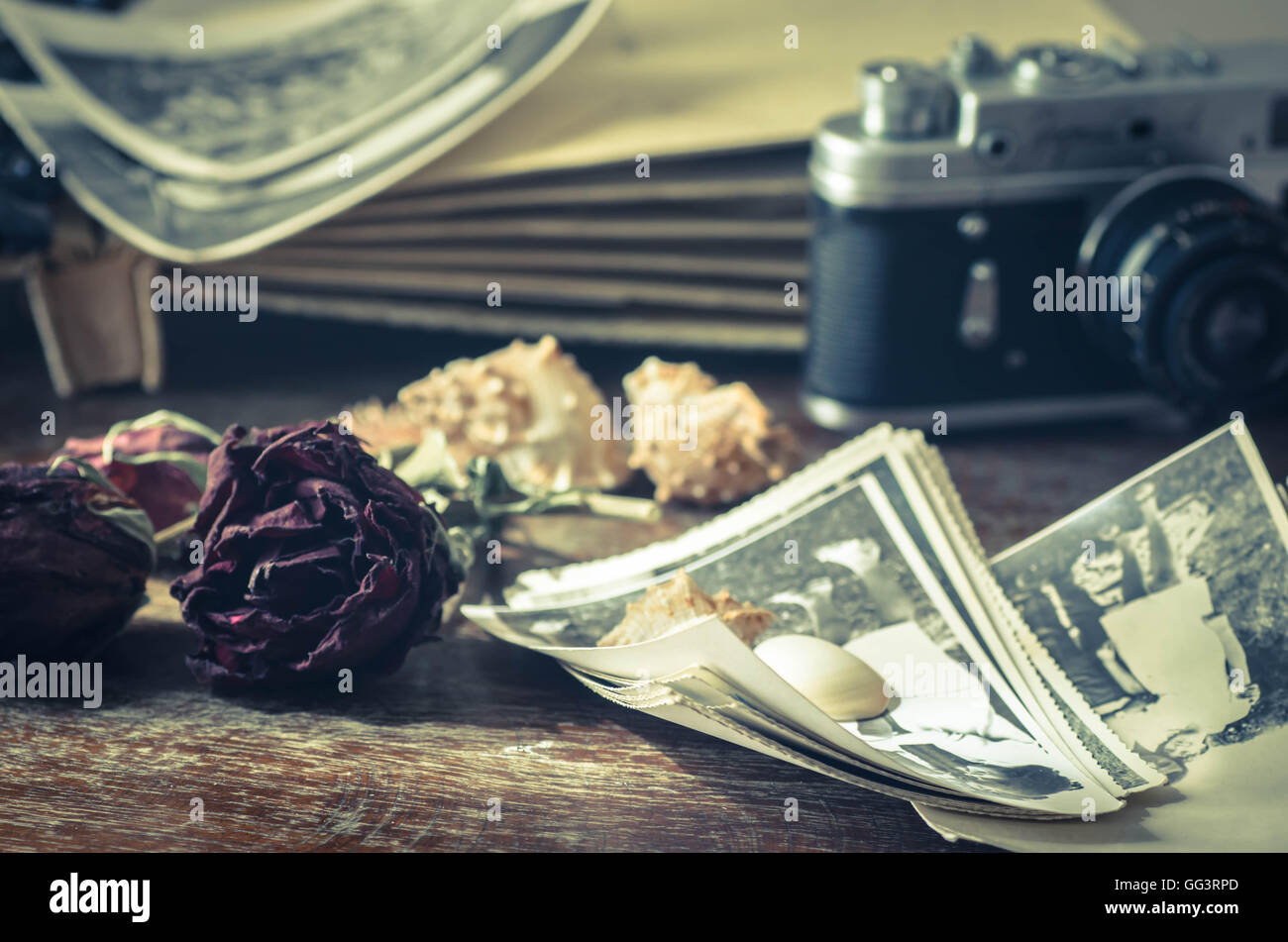019 jpg hi-res stock photography and images - Alamy