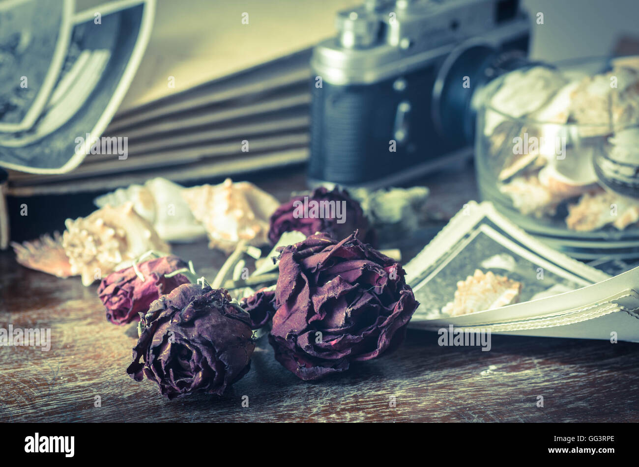 vintage still life with old photos and dried roses Stock Photo - Alamy
