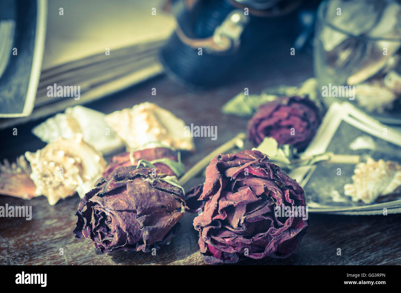 vintage still life with old photos and dried roses Stock Photo - Alamy