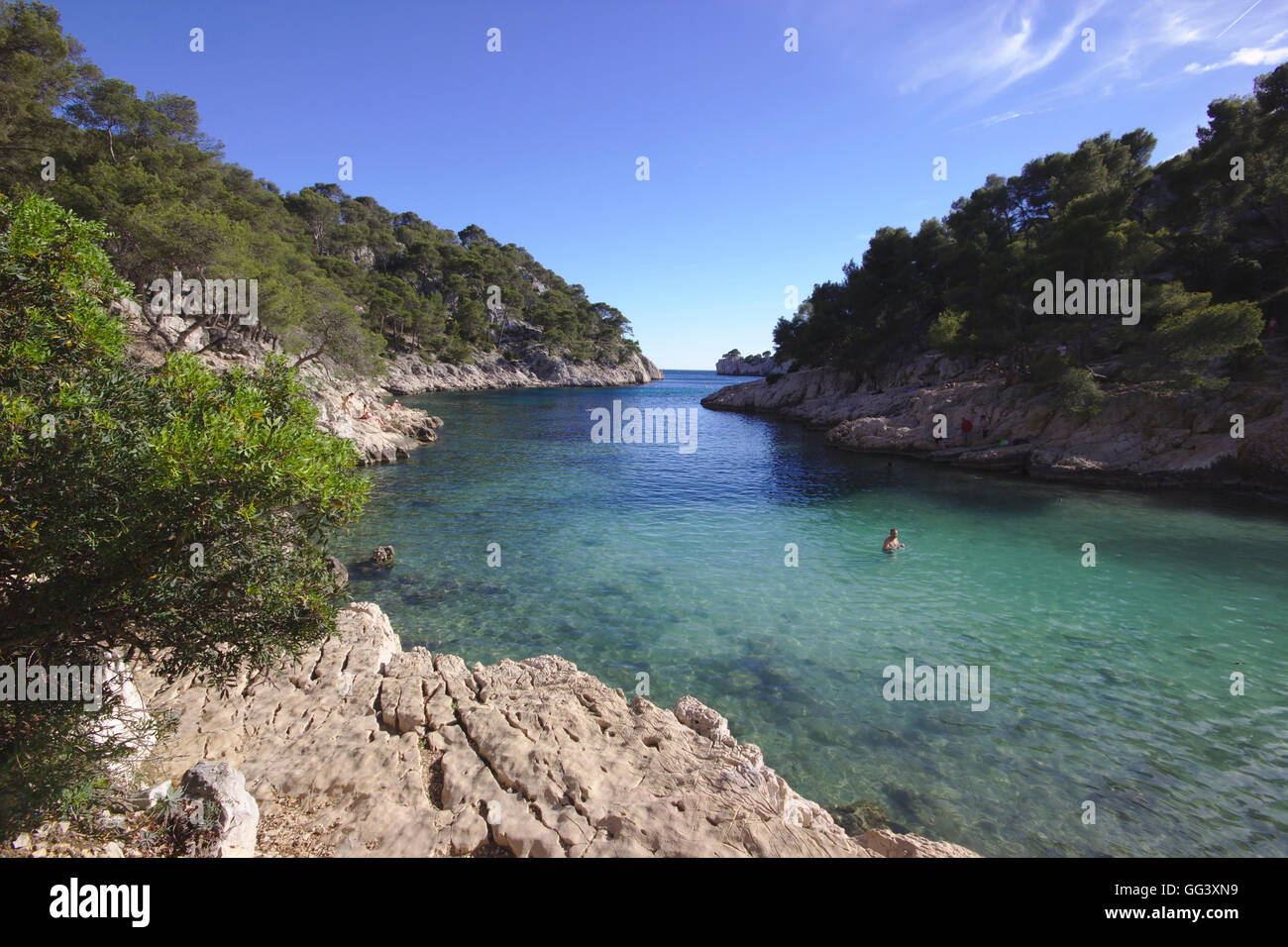 Calanque De Port Pin Bay On The Mediterranean Sea Near Cassis