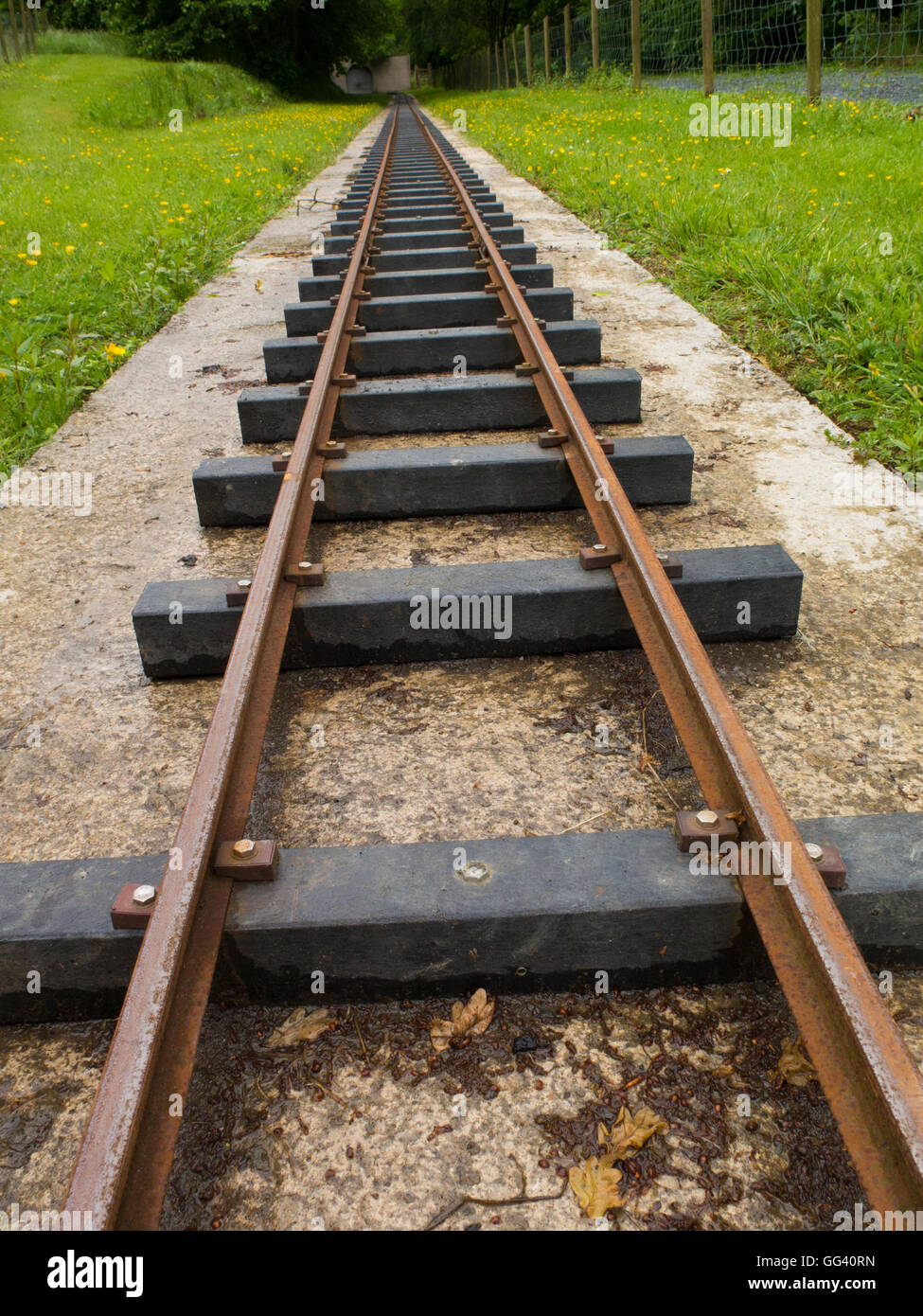 Railway lines disappearing into the distance Stock Photo Alamy