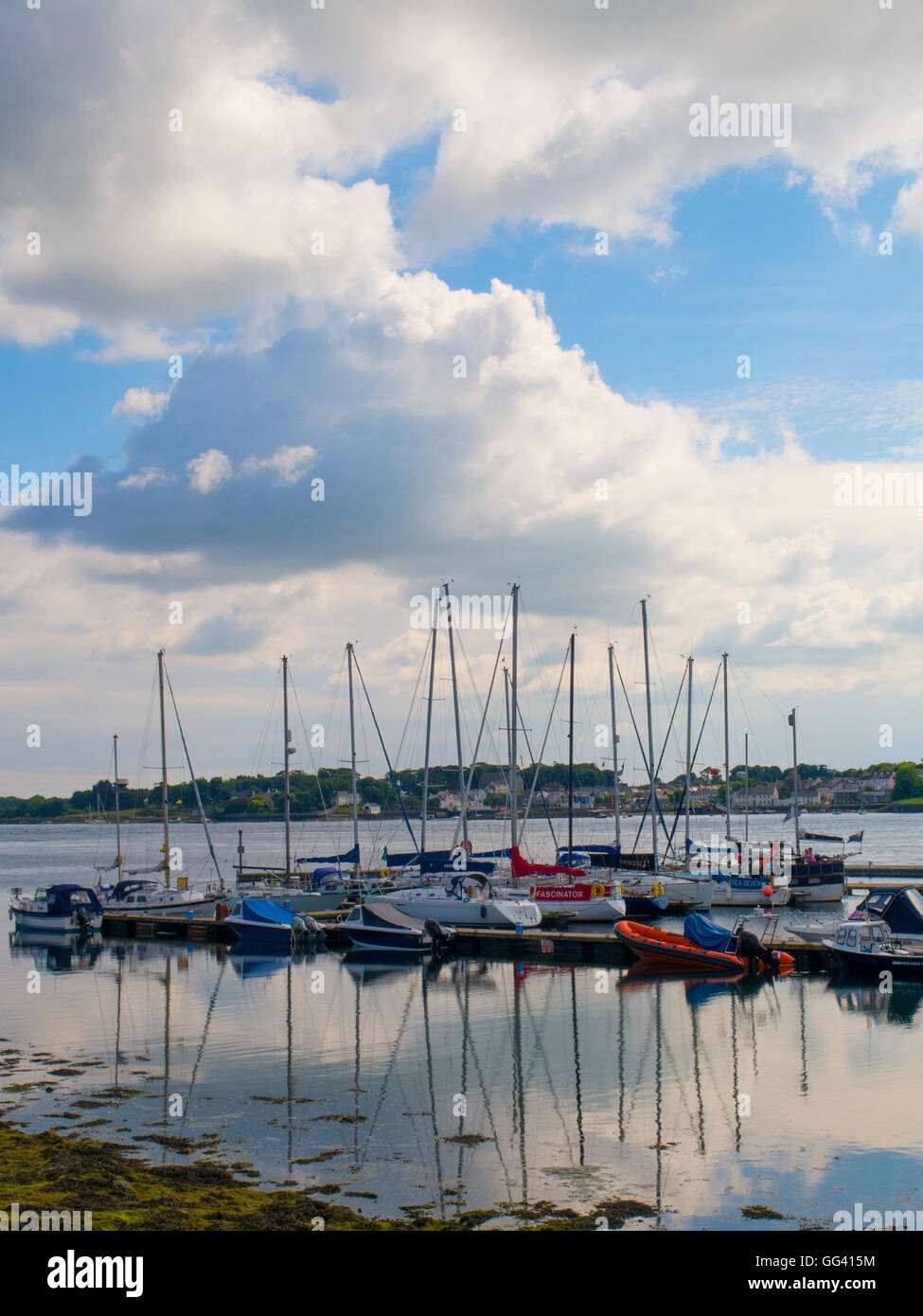 Boats in harbour at Portaferry Ards Peninsula Northern Ireland Stock Photo