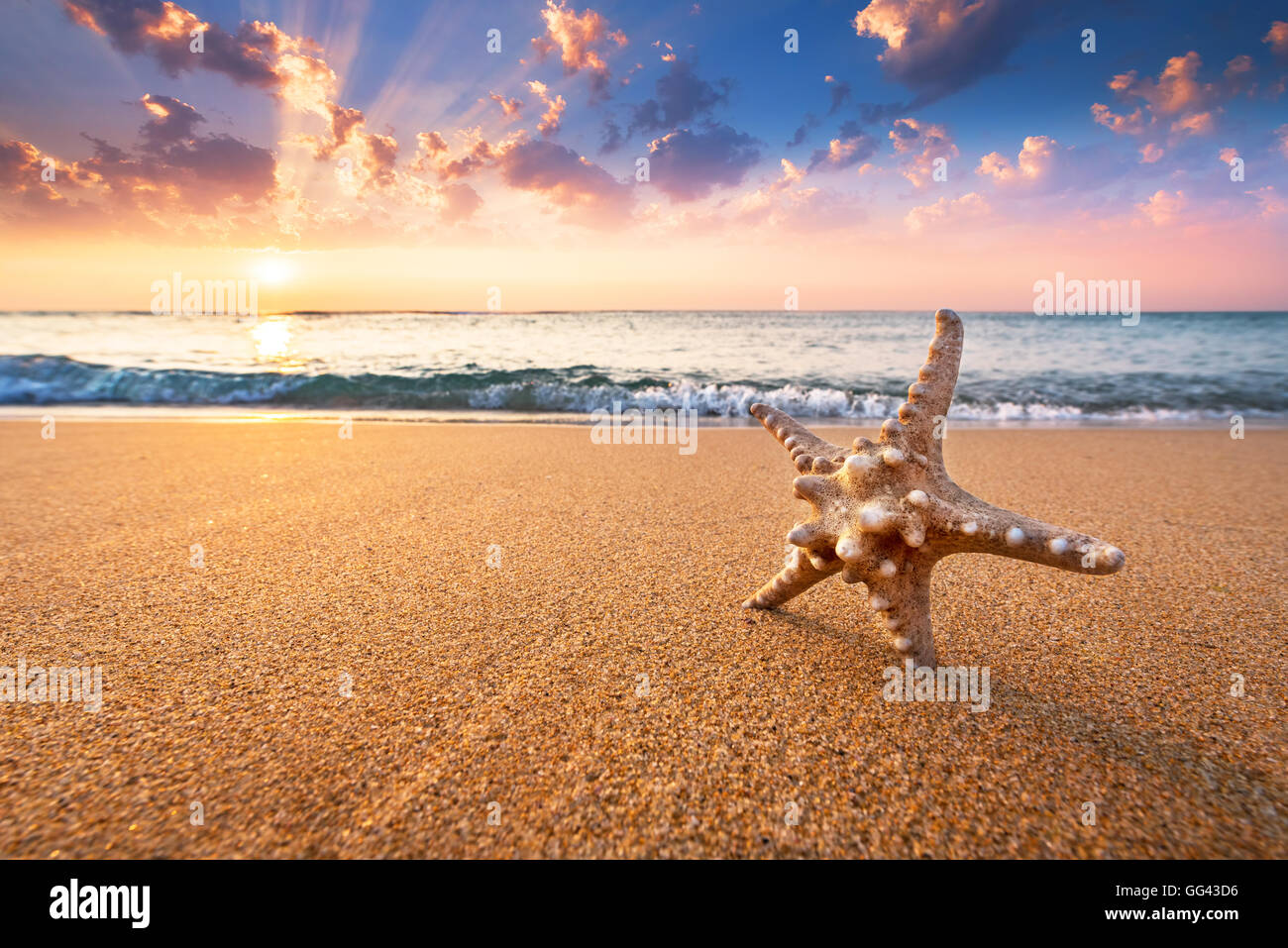 Tropical beach background with starfish. Stock Photo