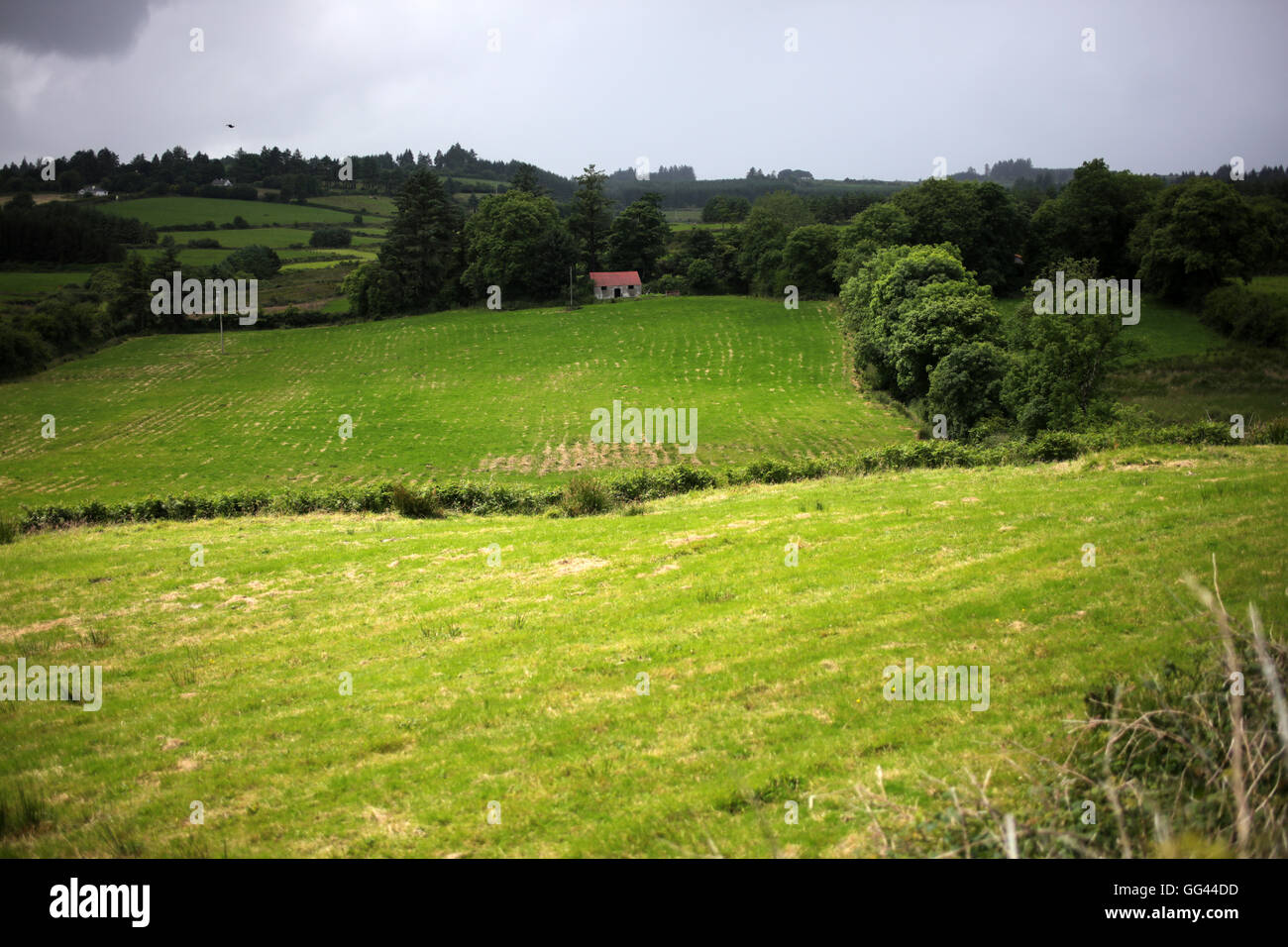 Countryside around Kishkeam road to Newmarket County Cork Ireland Stock Photo Alamy