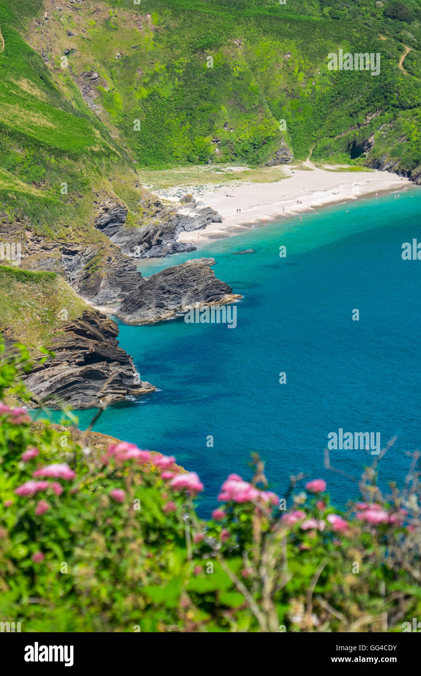 Lantic Bay on the south Cornish coast, near the village of Polruan, is on the South West Coast Path Stock Photo