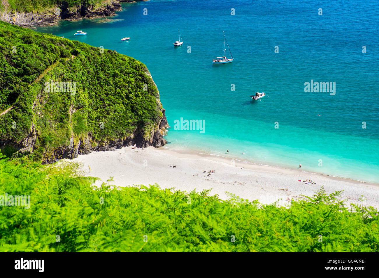 Lantic Bay on the south Cornish coast, near the village of Polruan, is on the South West Coast Path Stock Photo