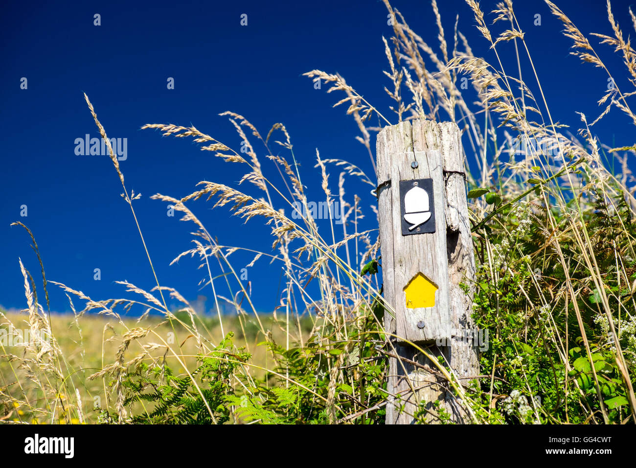Waymarker on the South West Coast Path near Lantic Bay, Cornwall Stock Photo