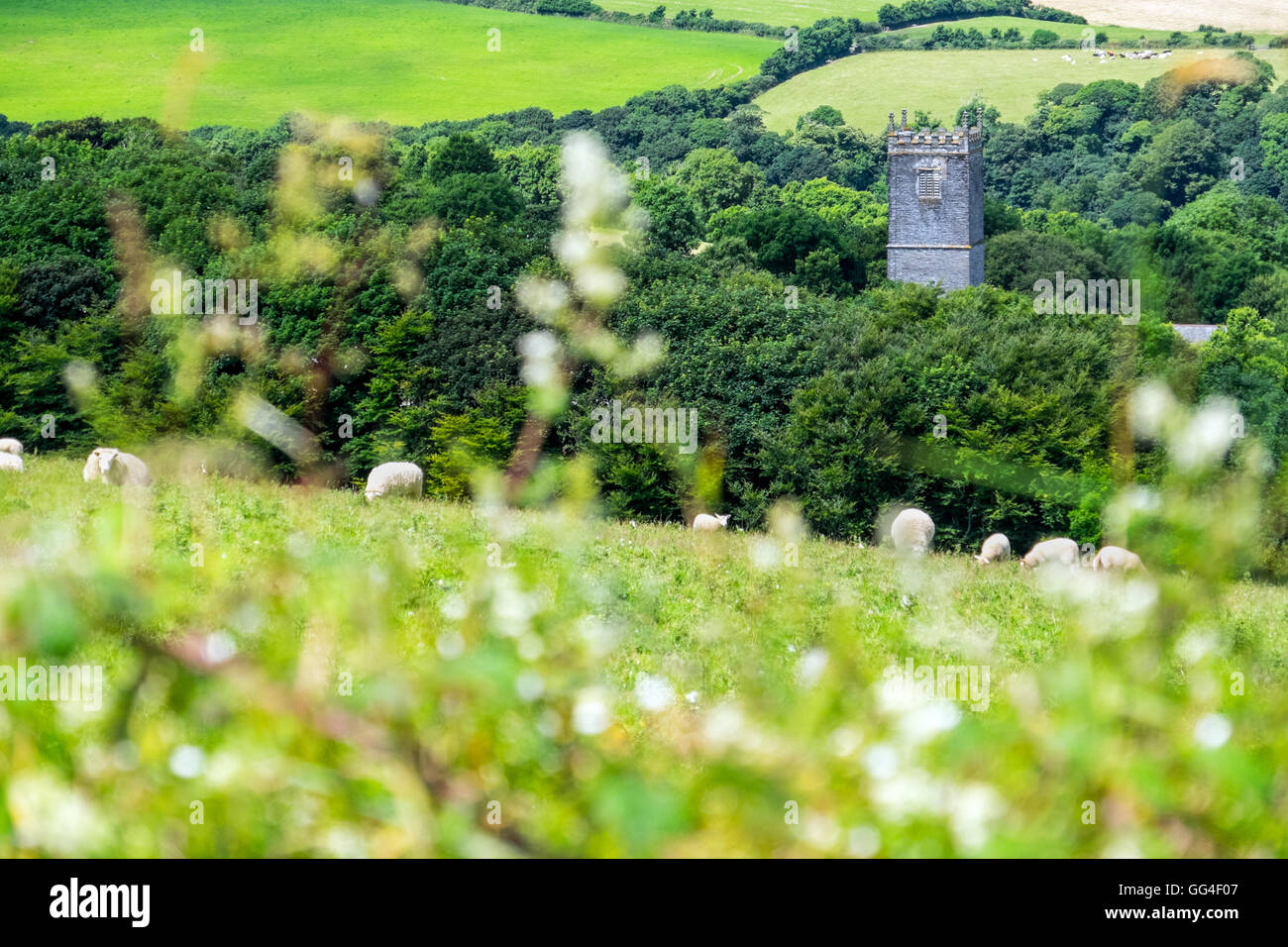 A church tower in a typical rural English landscape of fields and woodland, Cornwall Stock Photo