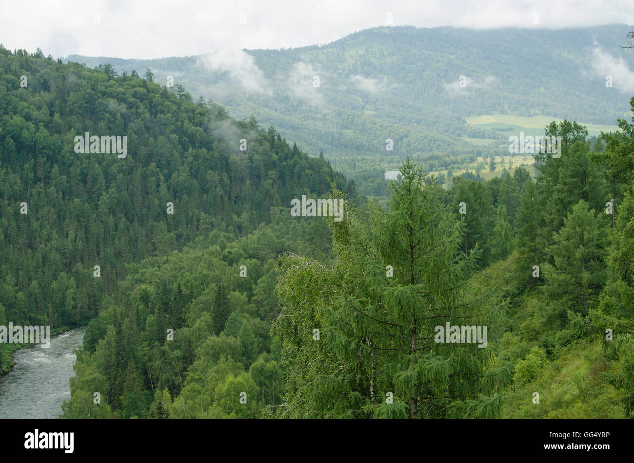 Beautiful landscape of mountains and river in the summer,beautiful,landscape,river,mountains,wood,taiga,summer,plants,trees Stock Photo