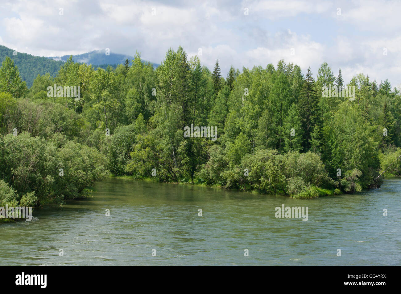 Beautiful landscape of mountains and river in summer,beautiful,landscape,river,mountains,wood,taiga,summer,plants,trees Stock Photo