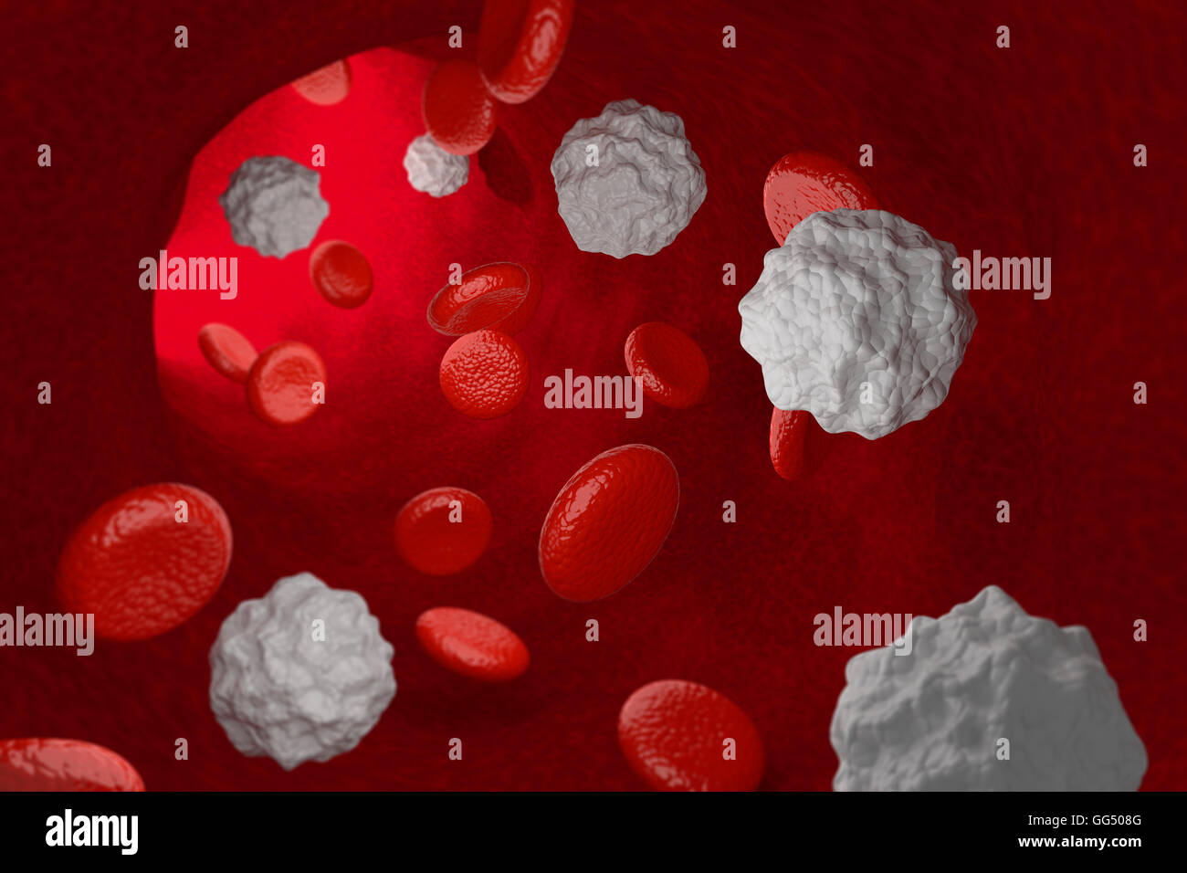 3D rendering of white blood cells in vein system Stock Photo - Alamy
